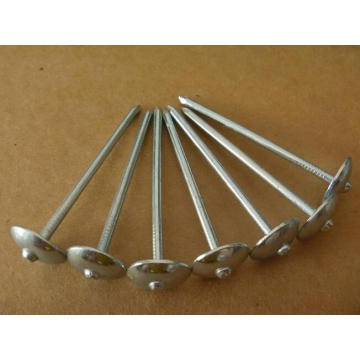 Venta caliente todo el tamaño Umbrella Head Roofing Nails